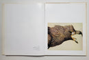 Louis Agassiz Fuertes & the Singular Beauty of Birds