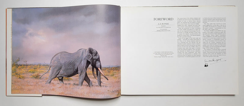 Elephants of Africa