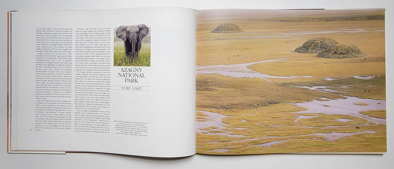 Elephants of Africa