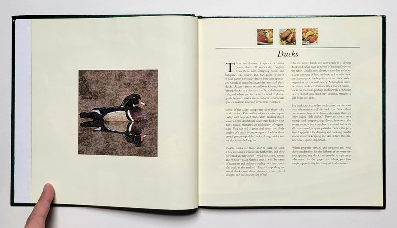 Wild About Waterfowl