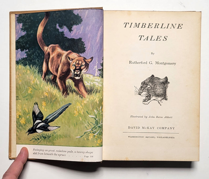 Timberline Tales