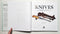 Knives: An Illustrated Encyclopedia of Knives for Fighting, Hunting, and Survival
