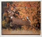 Book of Bucks: Original Photography by Tim Irwin