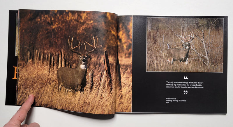 Book of Bucks: Original Photography by Tim Irwin