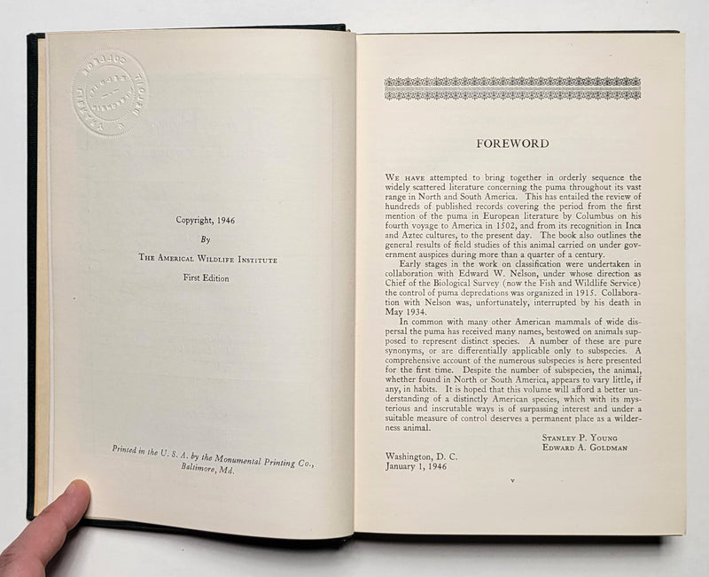 The Puma: Mysterious American Cat