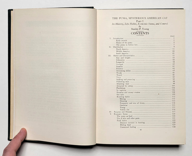 The Puma: Mysterious American Cat