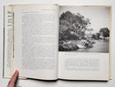 Hunting with a Camera: A World Guide to Wildlife Photography
