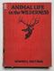 Animal Life in the Wilderness