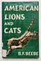 American Lions and Cats
