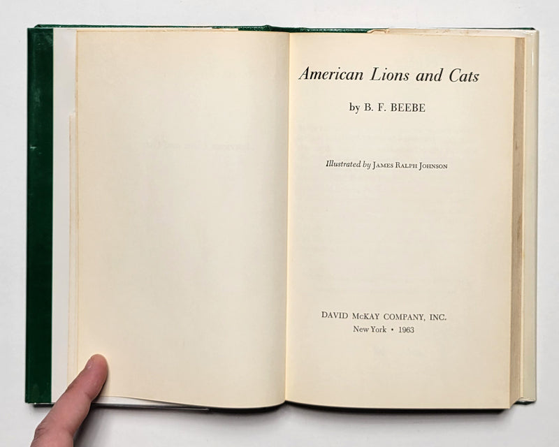 American Lions and Cats