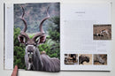 Hunting the Spiral Horns: Kudu—The Top African Antelope