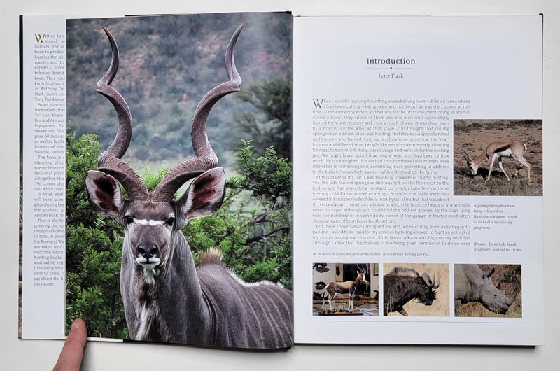 Hunting the Spiral Horns: Kudu—The Top African Antelope