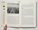 Waterfowling: A Sportsman’s Handbook