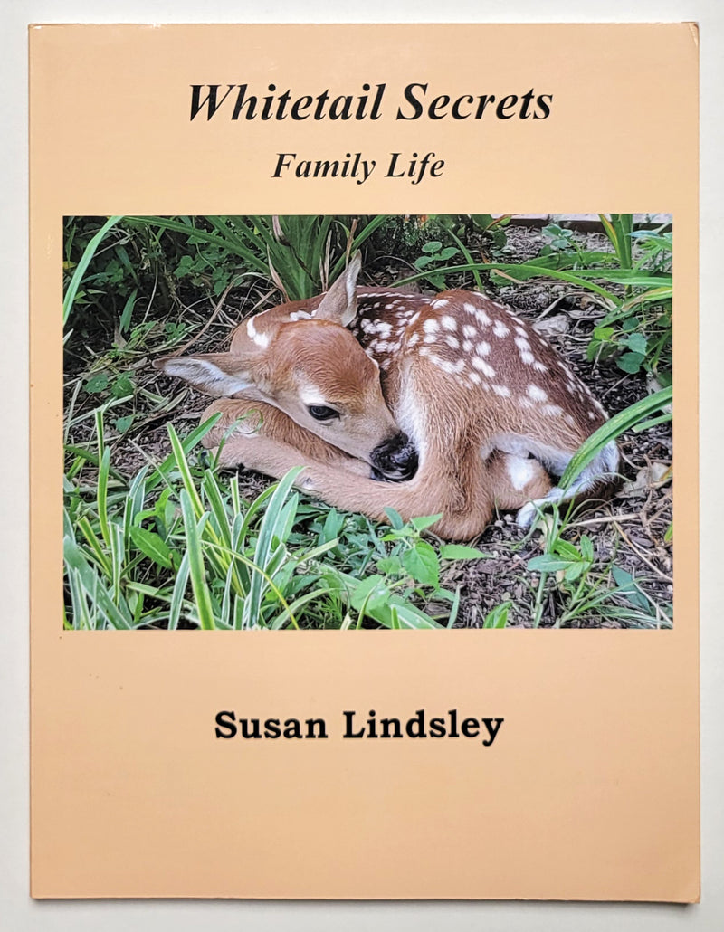 Whitetail Secrets: Family Life