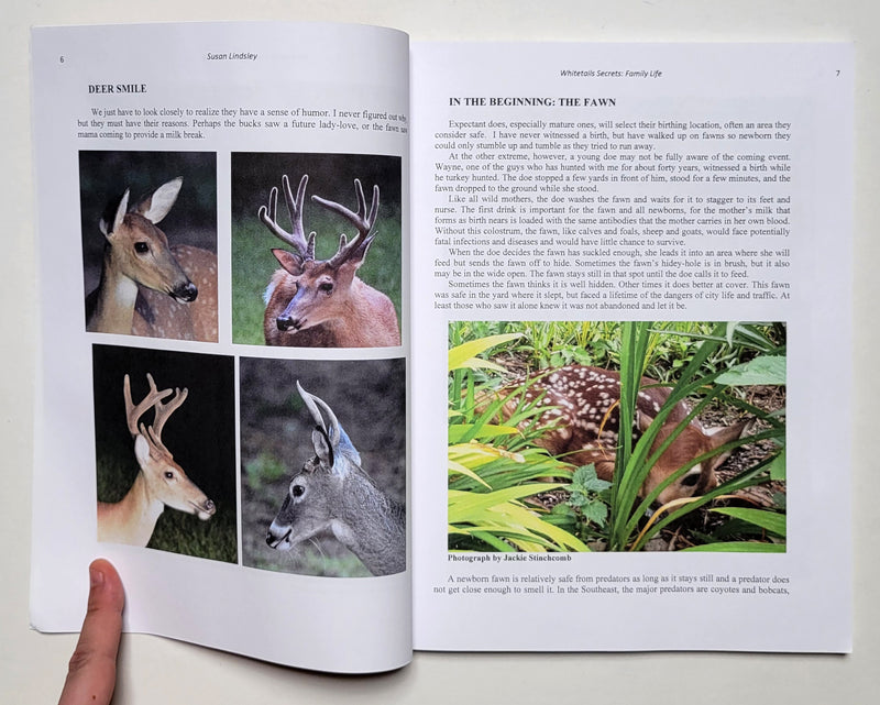 Whitetail Secrets: Family Life