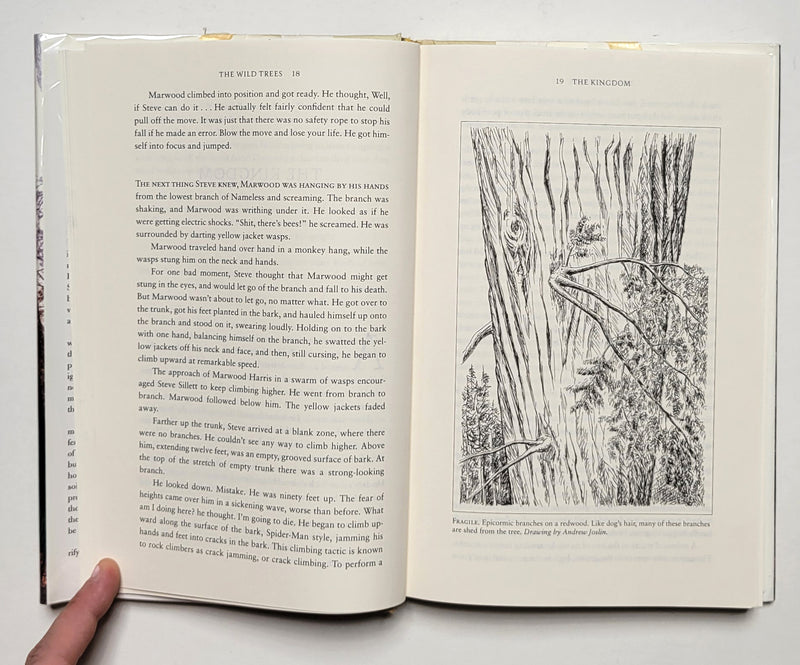 The Wild Trees: A Story of Passion and Daring