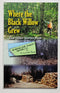 Where the Black Willow Grew and Others Stories from a Woodland Owner’s Notebook