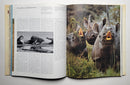 The Book of Hunting