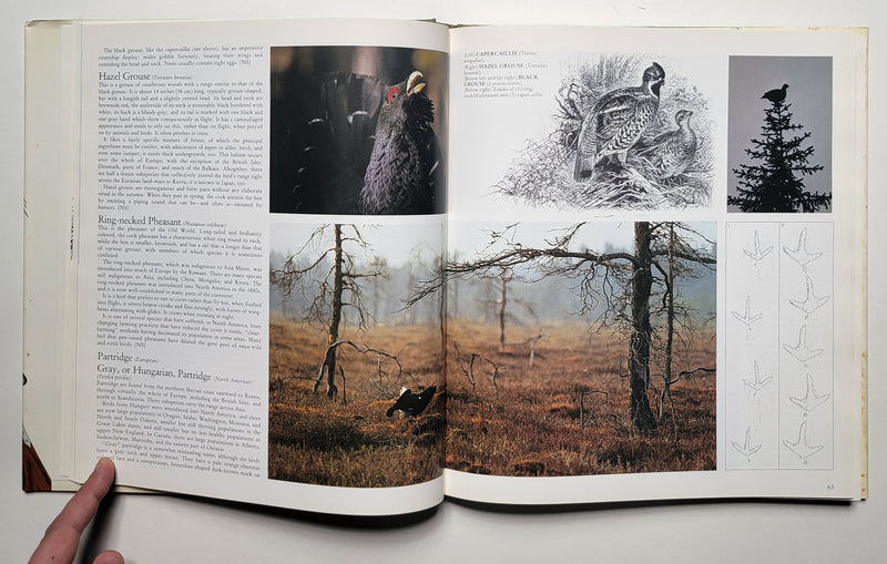The Complete Book of Hunting
