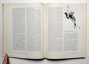 The Big Game Animals of North America