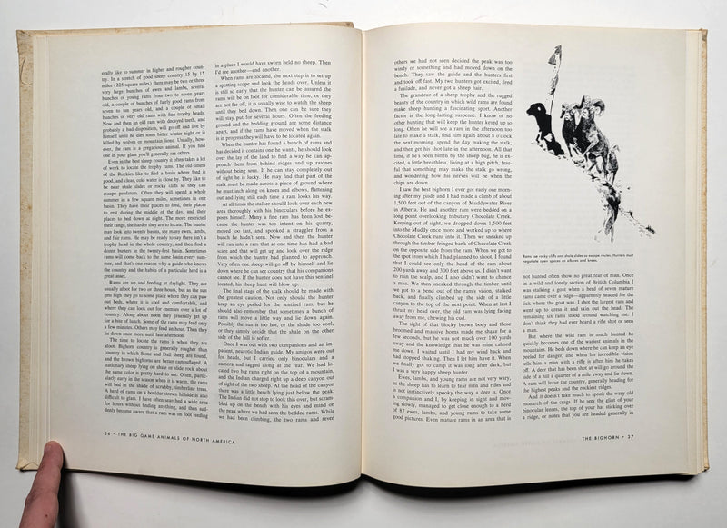The Big Game Animals of North America