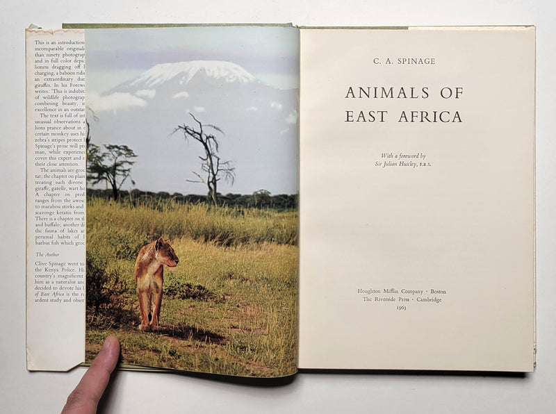Animals of East Africa