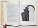 Lords of the Pinnacles: Wild Goats of the World