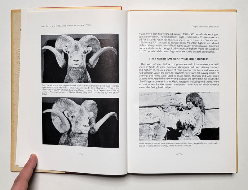 Wild Sheep and Wild Sheep Hunters of the New World