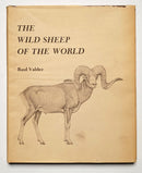 The Wild Sheep of the World