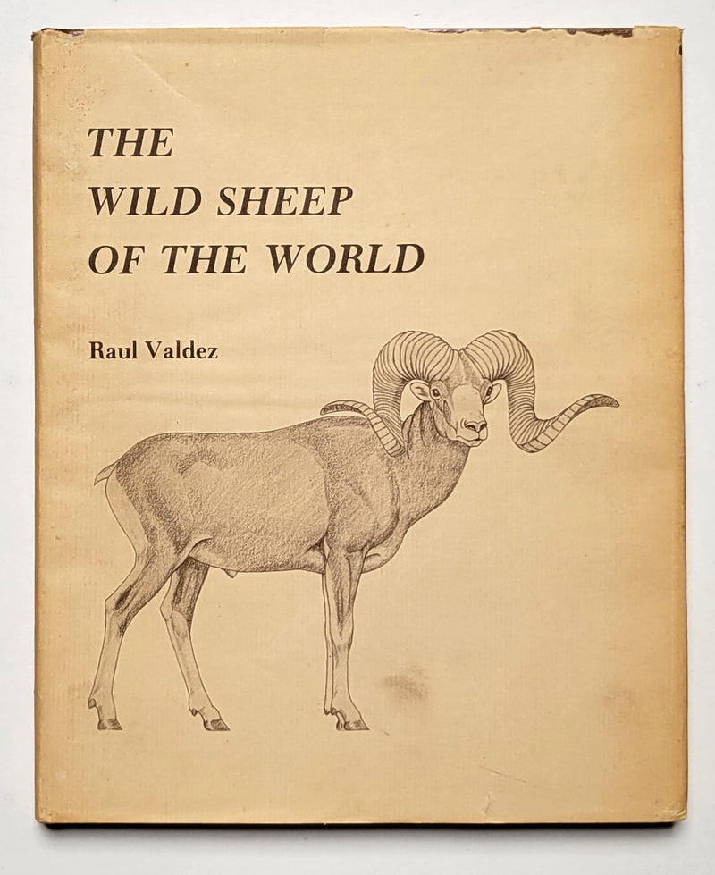 The Wild Sheep of the World