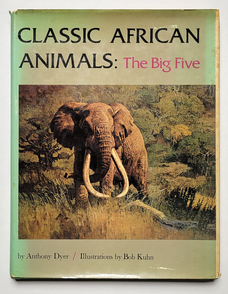 Classic African Animals: The Big Five