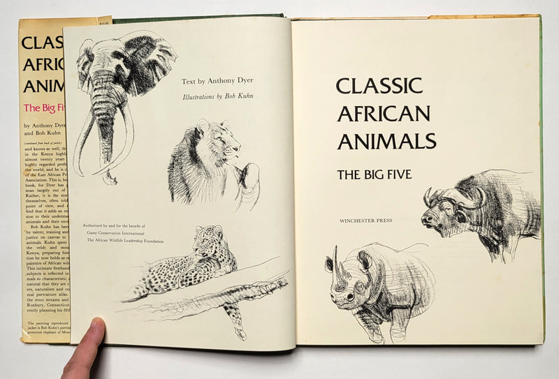 Classic African Animals: The Big Five