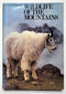 Wildlife of the Mountains