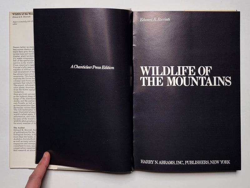 Wildlife of the Mountains