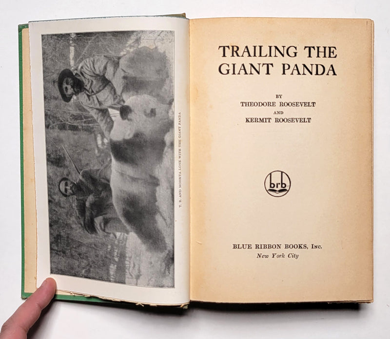 Trailing the Giant Panda