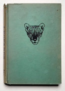Leopards in the Night