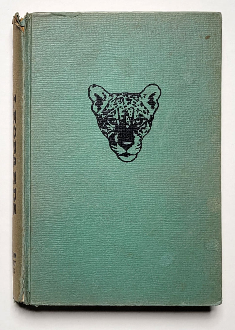Leopards in the Night