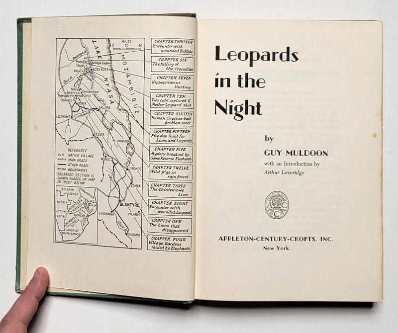 Leopards in the Night