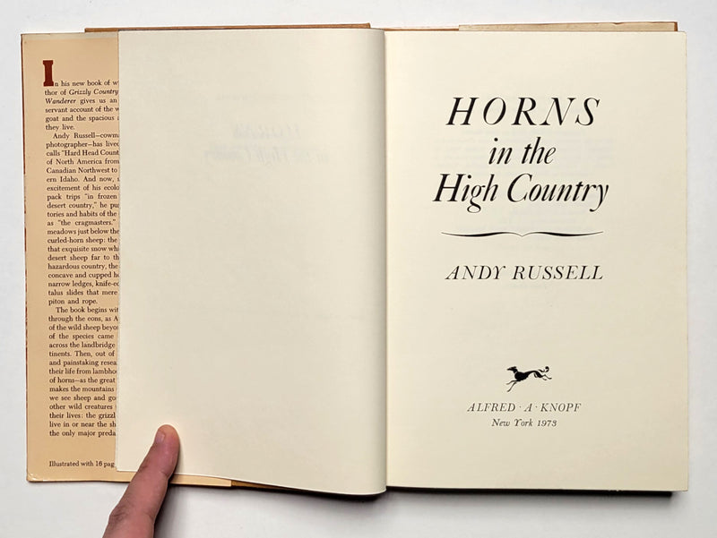 Horns in the High Country