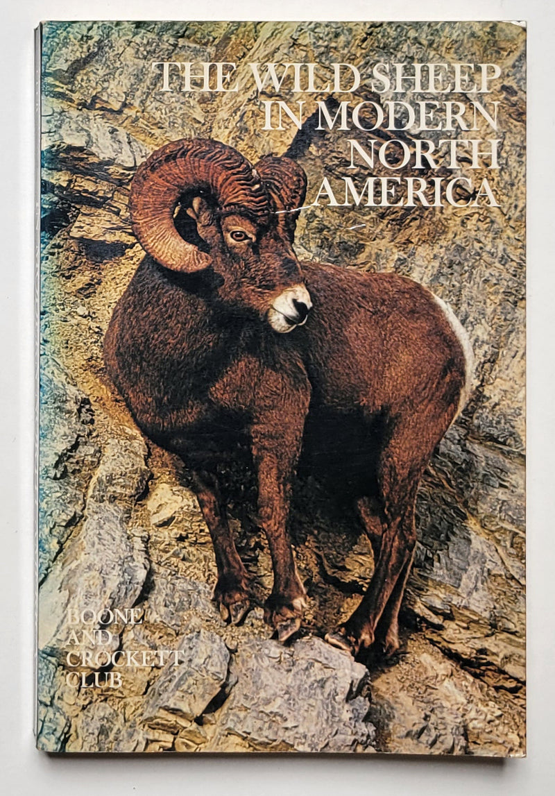 The Wild Sheep in North America