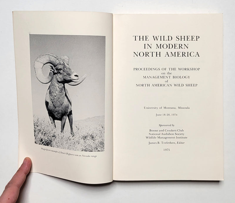 The Wild Sheep in North America