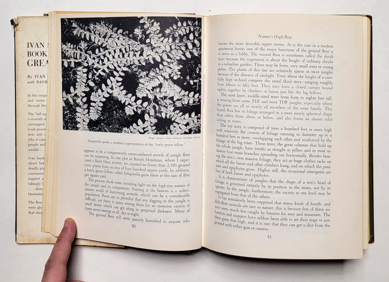 Ivan Sanderson’s Book of Great Jungles