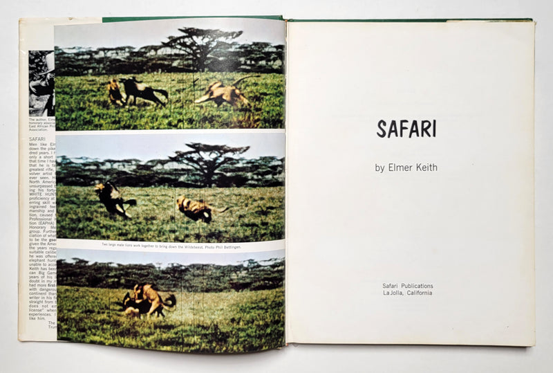 Safari