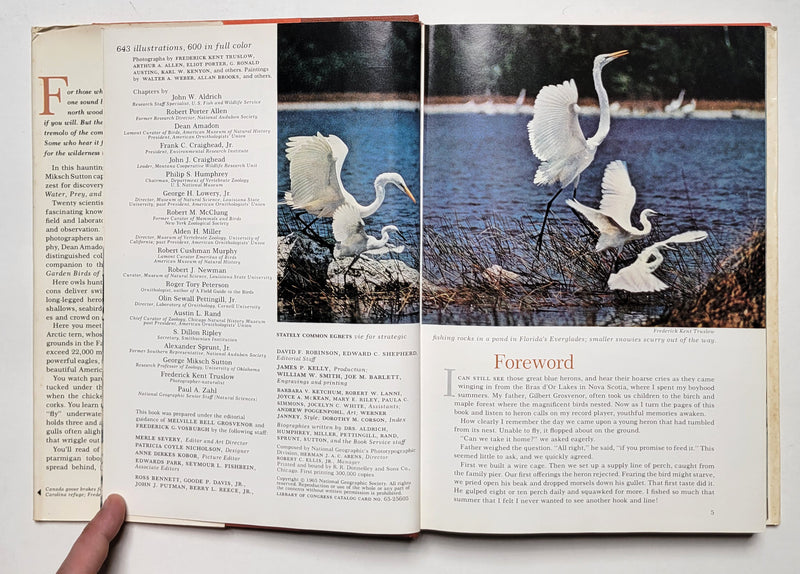 Water, Prey, and Game Birds of North America