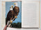 Water, Prey, and Game Birds of North America