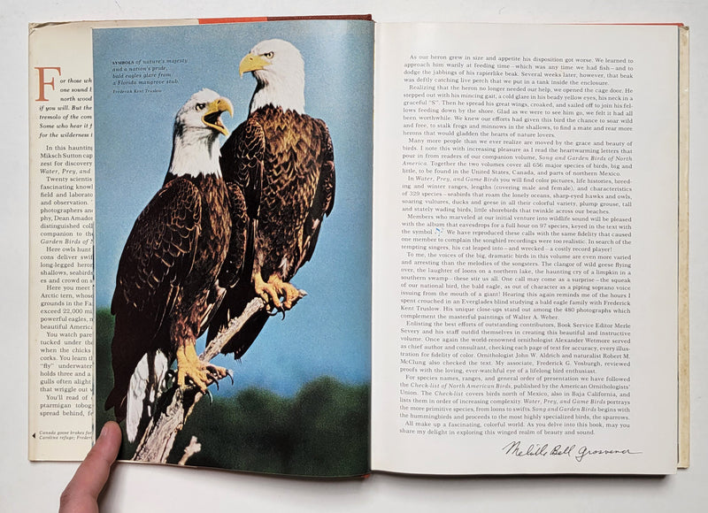 Water, Prey, and Game Birds of North America