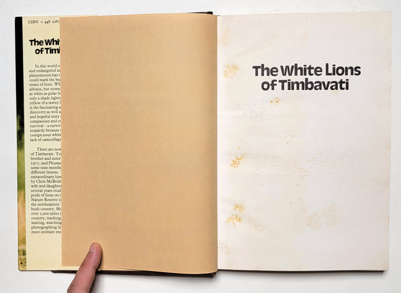 The White Lions of Timbavati