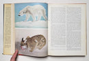 The Red Book: Wildlife in Danger
