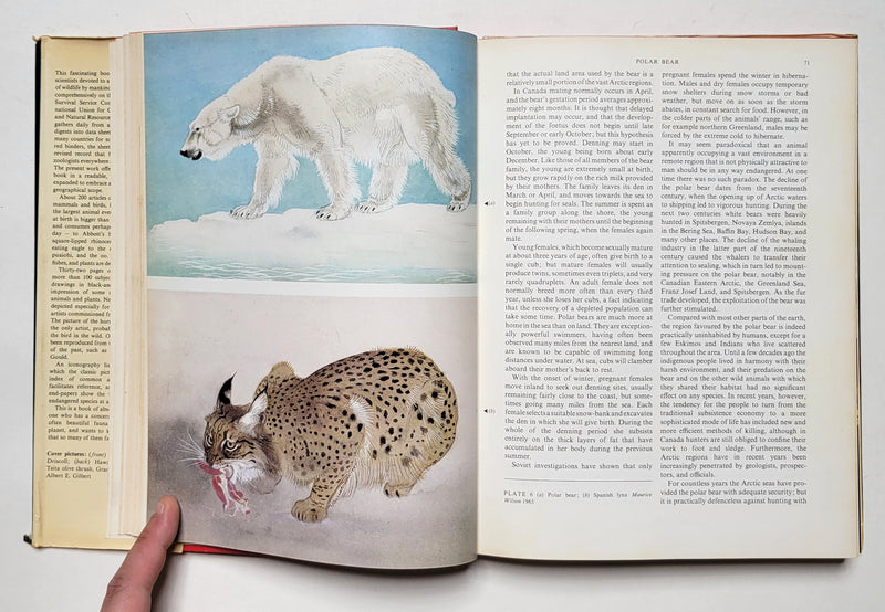 The Red Book: Wildlife in Danger
