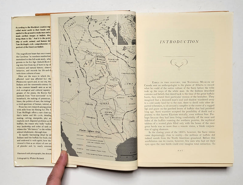 The Time of the Buffalo